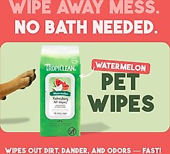 TropiClean 2-in-1 Watermelon Dirt & Odor Remover Wipes for Dogs & Cats, 100 count slide 2 of 8