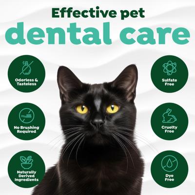 Show full view: TropiClean Fresh Breath Dental Water Additive + Urinary Tract Support for Cats, 16-fl oz bottle slide 8 of 12