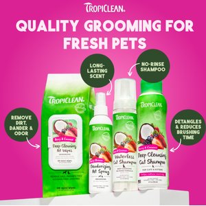 TropiClean Deep Cleaning Berry & Coconut Dirt & Odor Remover Wipes for Dogs & Cats, 100 count