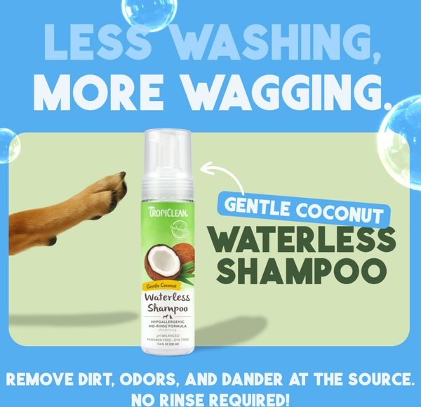 TropiClean Dry No Rinse Waterless Hypo Allergenic Dog & Cat Shampoo