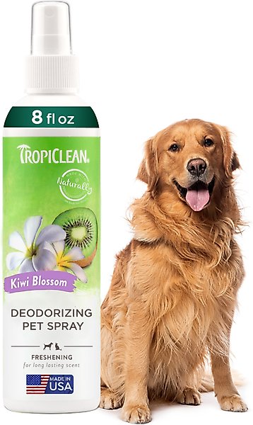 Show full view: TropiClean Deodorizing Perfume & Odor Eliminating Kiwi Blossom Scent Dog & Cat Spray, 8-fl oz bottle slide 1 of 12