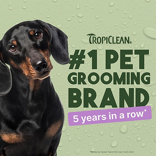 Show full view: TropiClean Deodorizing Perfume & Odor Eliminating Kiwi Blossom Scent Dog & Cat Spray, 8-fl oz bottle slide 4 of 12