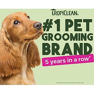 TropiClean Deep Cleaning Berry & Coconut Dirt & Odor Remover Wipes for Dogs & Cats, 100 count
