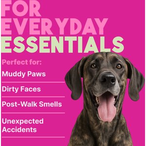 TropiClean Deep Cleaning Berry & Coconut Dirt & Odor Remover Wipes for Dogs & Cats, 100 count