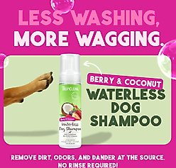TropiClean Dry No Rinse Waterless Deep Cleaning Dog Shampoo, Berry Fresh Scent, 7.4-fl oz bottle slide 2 of 9