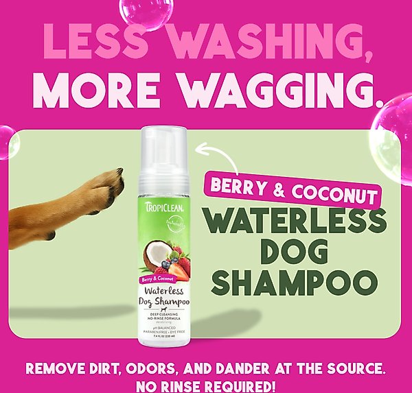 Show full view: TropiClean Dry No Rinse Waterless Deep Cleaning Dog Shampoo, Berry Fresh Scent, 7.4-fl oz bottle slide 3 of 11