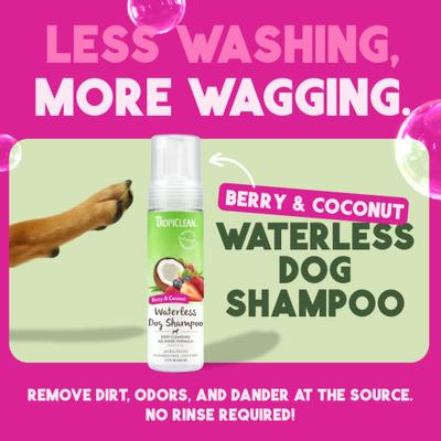 Show full view: TropiClean Dry No Rinse Waterless Deep Cleaning Dog Shampoo, Berry Fresh Scent, 7.4-fl oz bottle slide 3 of 11