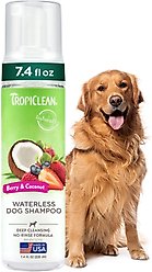 TropiClean Dry No Rinse Waterless Deep Cleaning Dog Shampoo, Berry Fresh Scent, 7.4-fl oz bottle slide 1 of 9