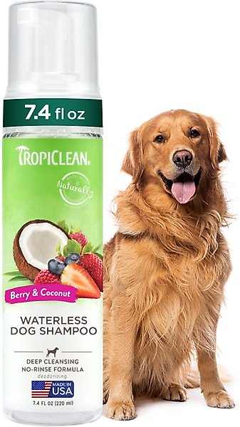 Show full view: TropiClean Dry No Rinse Waterless Deep Cleaning Dog Shampoo, Berry Fresh Scent, 7.4-fl oz bottle slide 1 of 11