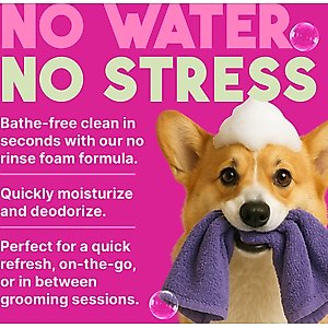 TropiClean Dry No Rinse Waterless Deep Cleaning Dog Shampoo, Berry Fresh Scent, 7.4-fl oz bottle