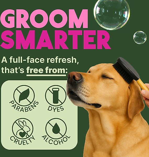 Show full view: TropiClean Dry No Rinse Waterless Deep Cleaning Dog Shampoo, Berry Fresh Scent, 7.4-fl oz bottle slide 6 of 11