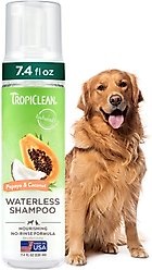 TropiClean Dry No Rinse Waterless Papaya & Coconut Dog & Cat Shampoo, 7.4-fl oz