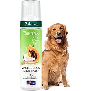 TropiClean Dry No Rinse Waterless Papaya & Coconut Dog & Cat Shampoo, 7.4-fl oz