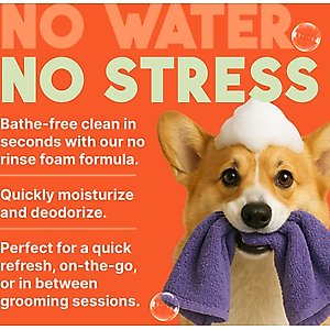 TropiClean Dry No Rinse Waterless Papaya & Coconut Dog & Cat Shampoo, 7.4-fl oz