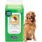 Show in main carousel: TropiClean 2-in-1 Papaya & Coconut Dirt & Odor Remover Wipes for Dogs & Cats, 100 count slide 1 of 10