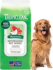 TropiClean 2-in-1 Watermelon Dirt & Odor Remover Wipes for Dogs & Cats, 100 count