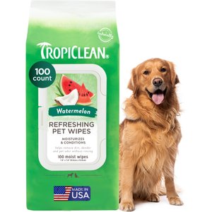 TropiClean 2-in-1 Watermelon Dirt & Odor Remover Wipes for Dogs & Cats, 100 count