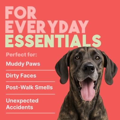 Show full view: TropiClean 2-in-1 Watermelon Dirt & Odor Remover Wipes for Dogs & Cats, 100 count slide 5 of 9