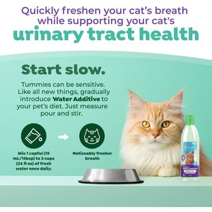 TropiClean Fresh Breath Dental Water Additive + Urinary Tract Support for Cats, 16-fl oz bottle