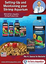 Dr. Tim's Aquatics Shrimp Waste-Away Gel Water Conditioner, Small, 2 count slide 2 of 4