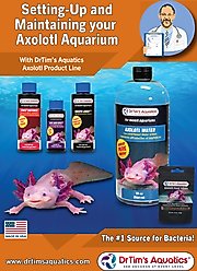 Dr. Tim's Aquatics Axolotl One & Only Water Conditioner, 2-fl oz bottle slide 2 of 3