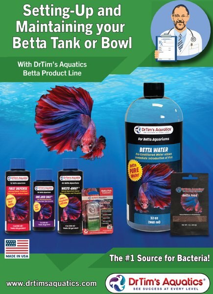 Dr. Tim's Aquatics Betta Waste-Away Water Conditioner
