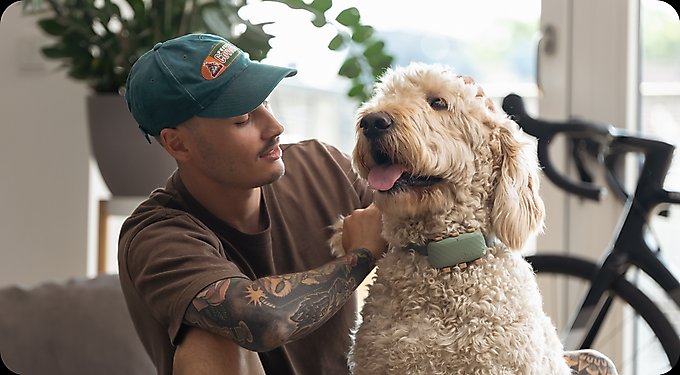 Tractive Dog GPS Tracker & Activity Monitor