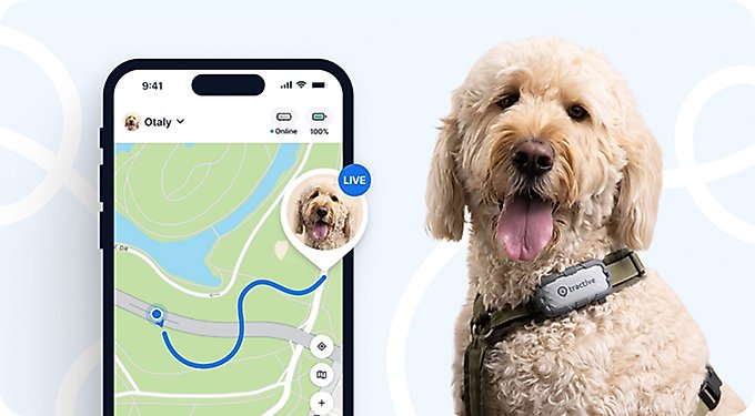 Tractive Dog GPS Tracker & Activity Monitor