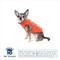 Show in main carousel: Hip Doggie Featherlite Reversible Dog Coat, Blue/Orange, Small slide 2 of 9