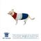 Show in main carousel: Hip Doggie Color Block Dog Sweater, Red/Royal Blue, Medium slide 2 of 8