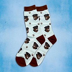 E&S PETS Rottweiler Sock Daddy, Teal, one size slide 2 of 4
