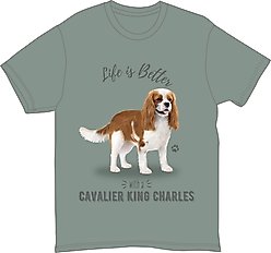 E&S PETS Cavalier King Charles T-Shirt, Green, XX-Large
