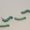 Show in main carousel: BugCo Live Hornworms Reptile Food, 25 count slide 1 of 4