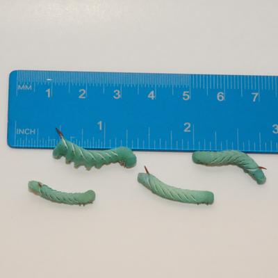 Show full view: BugCo Live Hornworms Reptile Food, 25 count slide 2 of 4