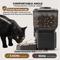Show in main carousel: ONIZOOMI Smart Automatic 2.4G WiFi Cat & Dog Feeder, Black, 25-Cup slide 4 of 10