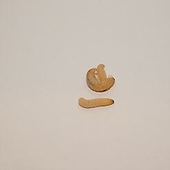 BugCo Live Waxworms Reptile Food, 250 count slide 2 of 2