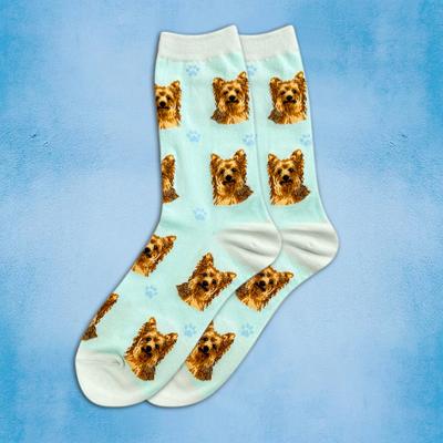 Show full view: E&S PETS Yorkie Sock Daddy, Teal, one size slide 4 of 4