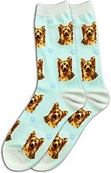 E&S PETS Yorkie Sock Daddy, Teal, one size