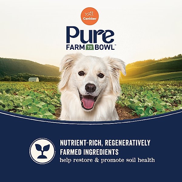 Show full view: CANIDAE Pure Farm To Bowl Pasture-Raised Lamb & Sweet Potato Recipe Dry Dog Food, 4-lb bag slide 7 of 11
