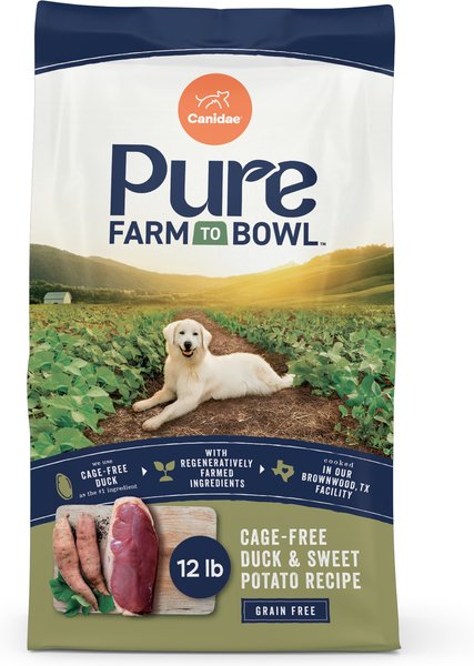 Sweet Potato Feeding Grain Free Dog Food AMERICAN JOURNEY Limited
