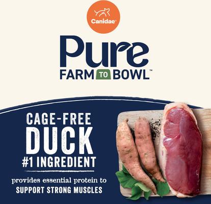 Show full view: CANIDAE Pure Farm To Bowl Cage-Free Duck & Sweet Potato Recipe Dry Dog Food, 4-lb bag slide 4 of 10