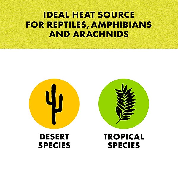 Show full view: Zilla Terrarium Heat Mat Reptile Heater, 8-watt slide 7 of 12