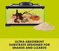 Zilla Lizard Litter Aspen Chip Reptile Bedding, 4 Quarts slide 2 of 9
