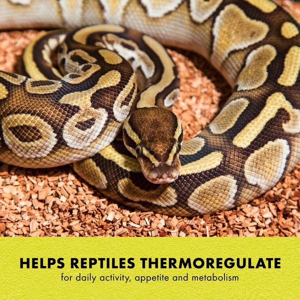 Show full view: Zilla Terrarium Heat Mat Reptile Heater, 8-watt slide 4 of 12