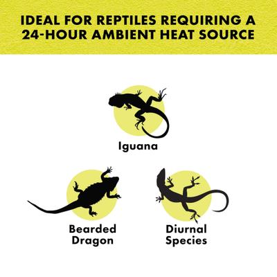 Show full view: Zilla Night Black Reptile Basking Bulb, 150-watt slide 4 of 10