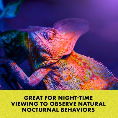 Show full view: Zilla Night Black Reptile Basking Bulb, 150-watt slide 5 of 10