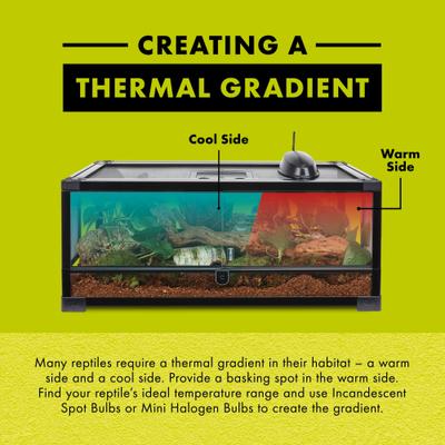 Show full view: Zilla Day Blue Reptile Basking Bulb, 75-watt slide 6 of 9