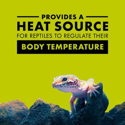 Show full view: Zilla Day Blue Reptile Basking Bulb, 75-watt slide 3 of 9