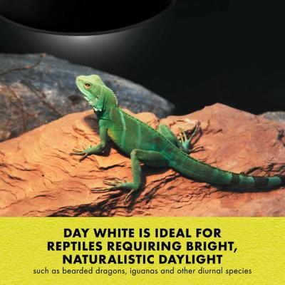 Show full view: Zilla Light & Heat Mini Halogen Bulb for Reptile Terrariums, Day White, 50 Watts slide 7 of 11