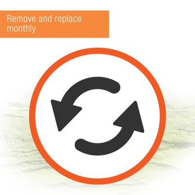 Show full view: Zilla Ground English Walnut Shell Reptile Bedding, 5-qt bag slide 9 of 12